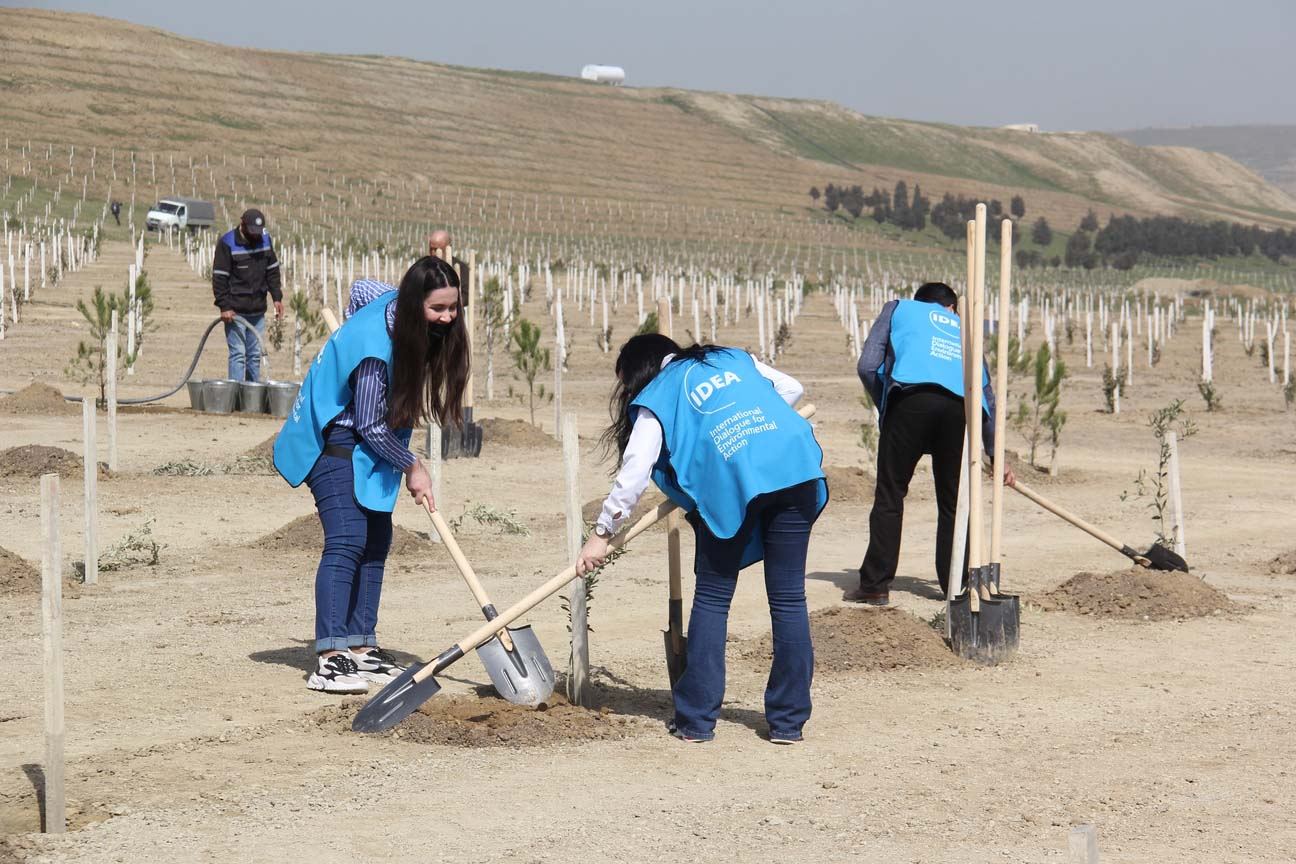 “Yaşıl Marafon” uğurla davam edir (FOTO) - Gallery Image