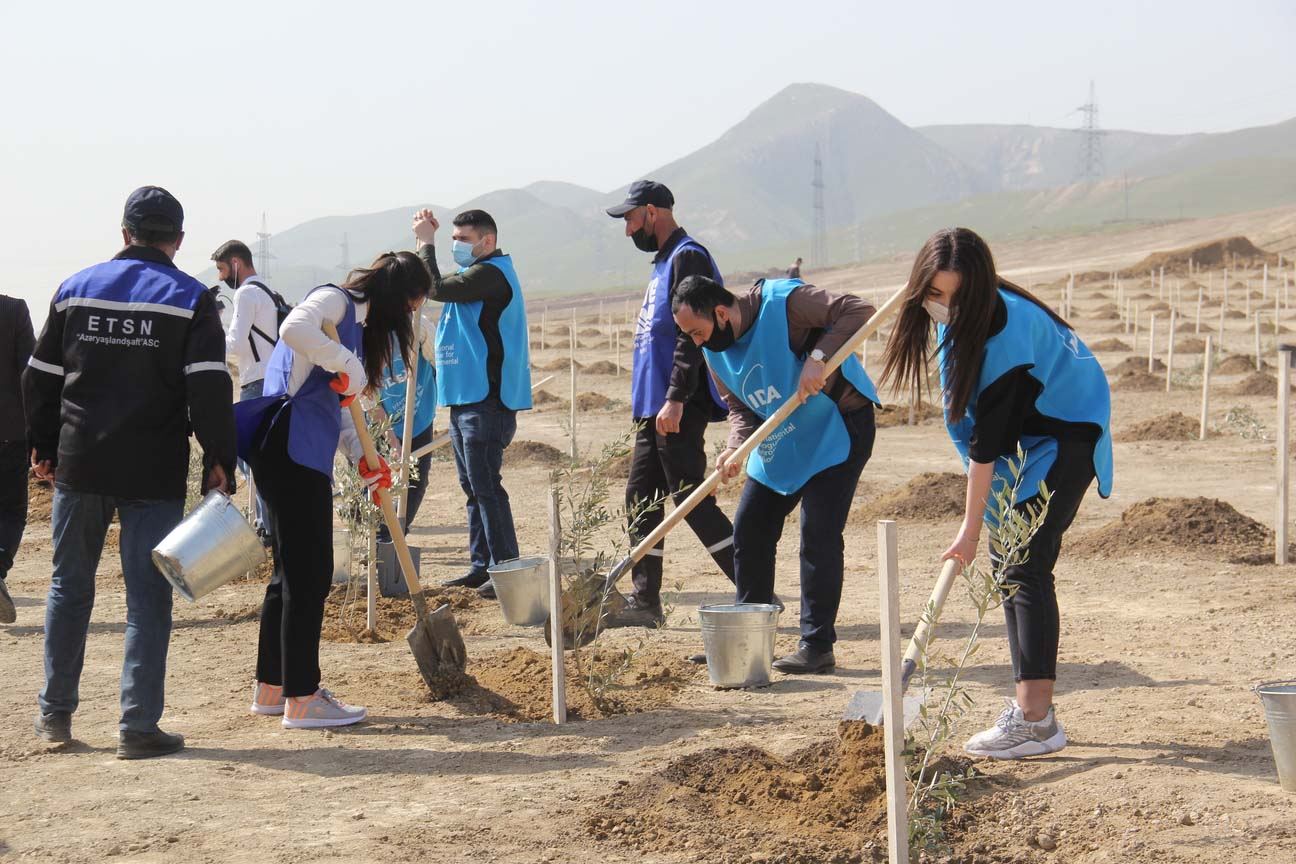 “Yaşıl Marafon” uğurla davam edir (FOTO) - Gallery Image