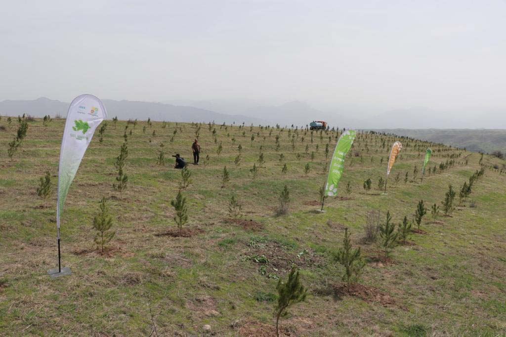 “Yaşıl Marafon” uğurla davam edir (FOTO) - Gallery Image