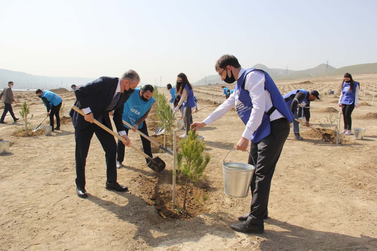 “Yaşıl Marafon” uğurla davam edir (FOTO) - Gallery Image