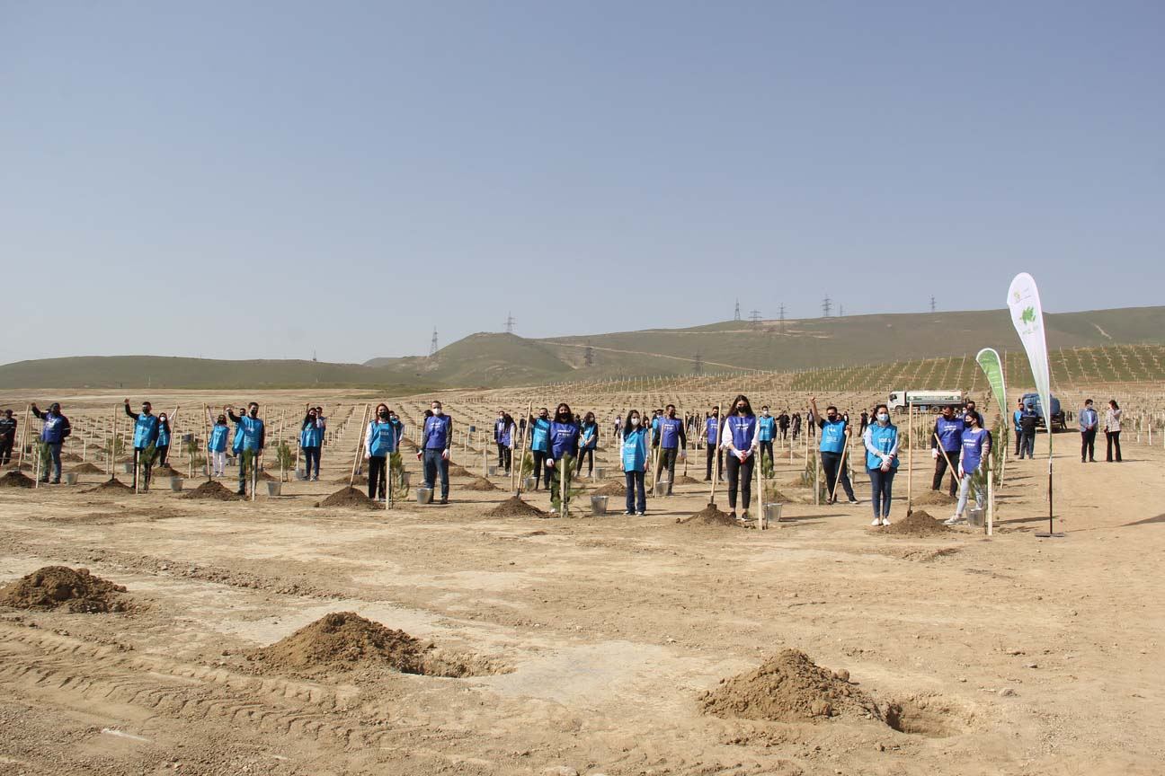 “Yaşıl Marafon” uğurla davam edir (FOTO) - Gallery Image
