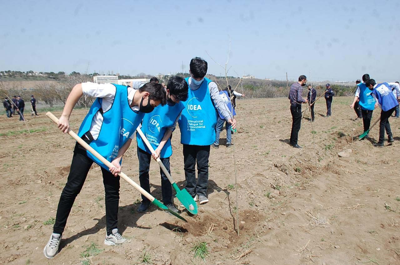 “Yaşıl Marafon” uğurla davam edir (FOTO) - Gallery Image