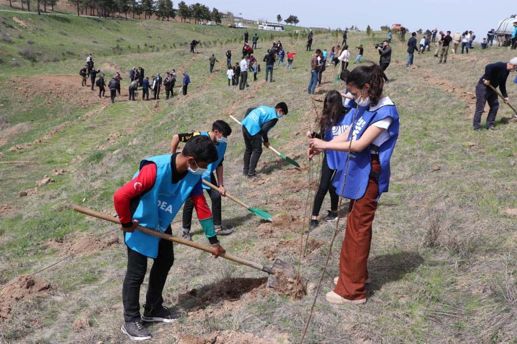“Yaşıl Marafon” uğurla davam edir (FOTO) - Gallery Image