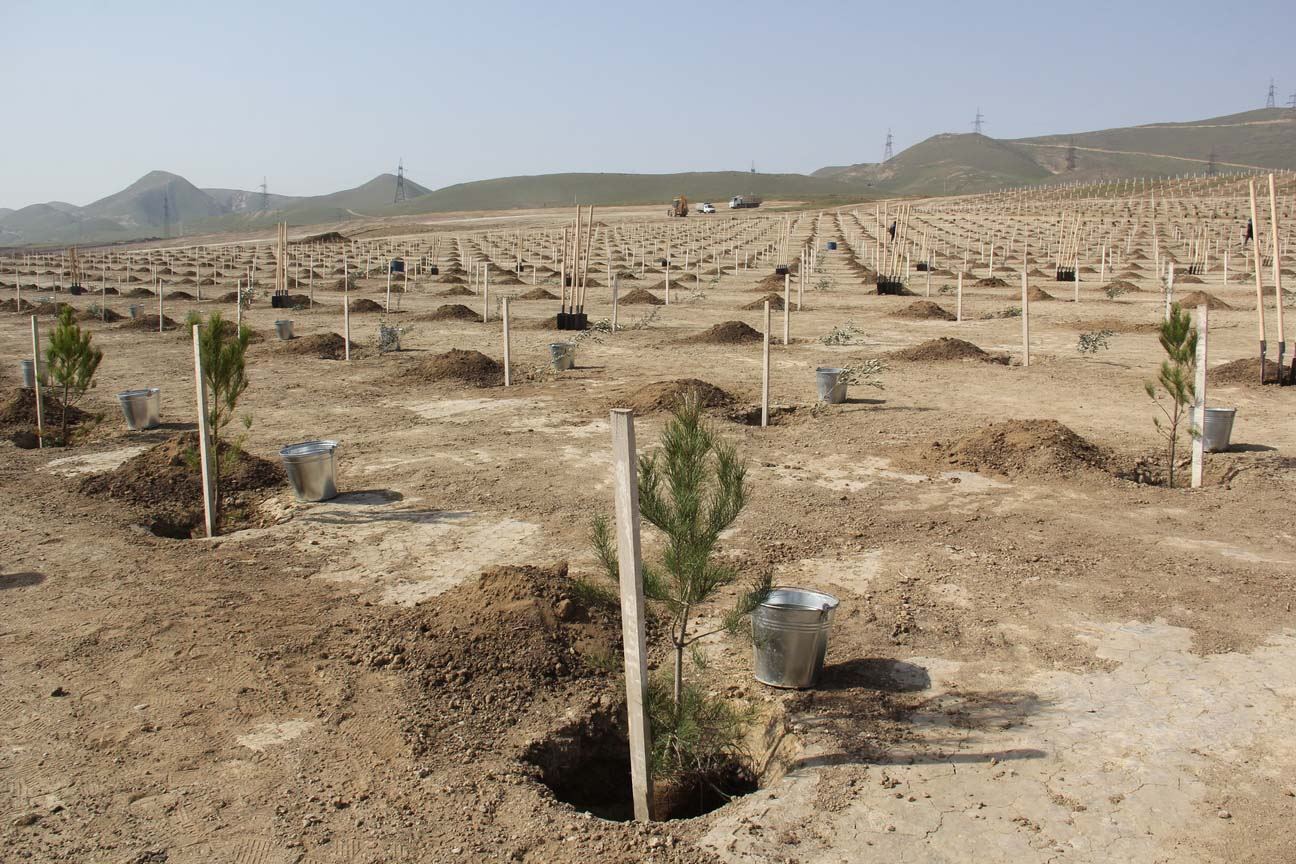 “Yaşıl Marafon” uğurla davam edir (FOTO) - Gallery Image