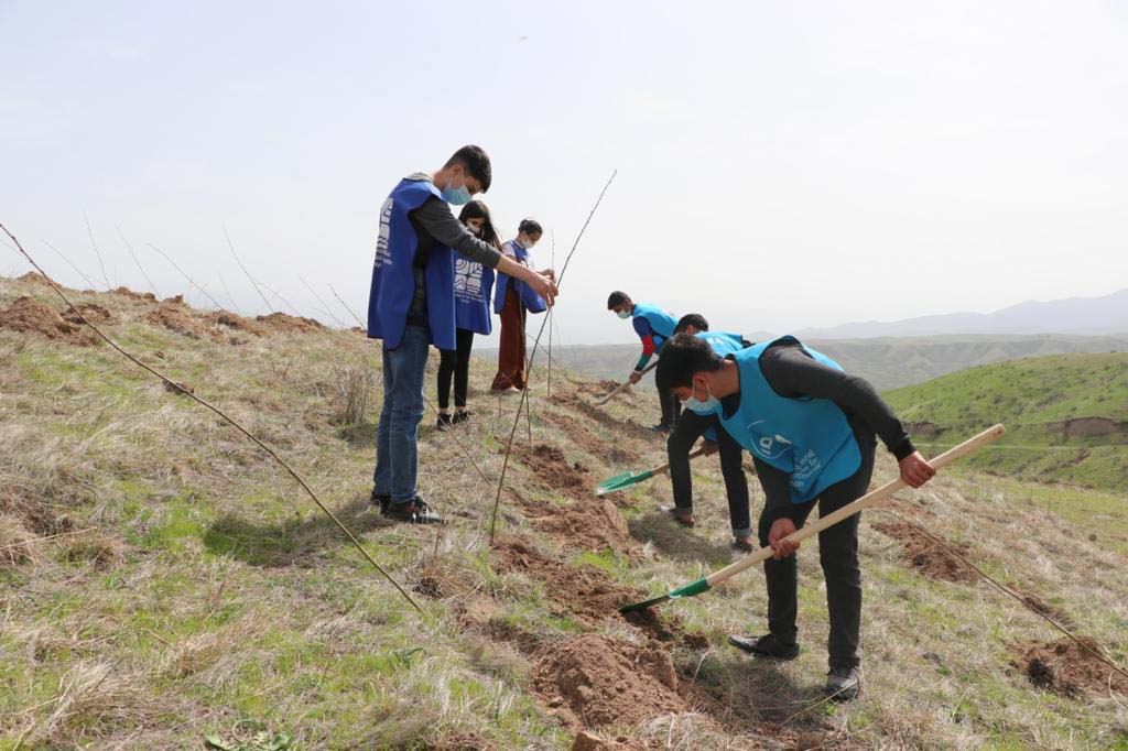 “Yaşıl Marafon” uğurla davam edir (FOTO) - Gallery Image