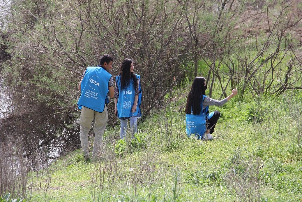 “Yaşıl Marafon” çərçivəsində bal verən ağaclar əkildi (FOTO) - Gallery Image