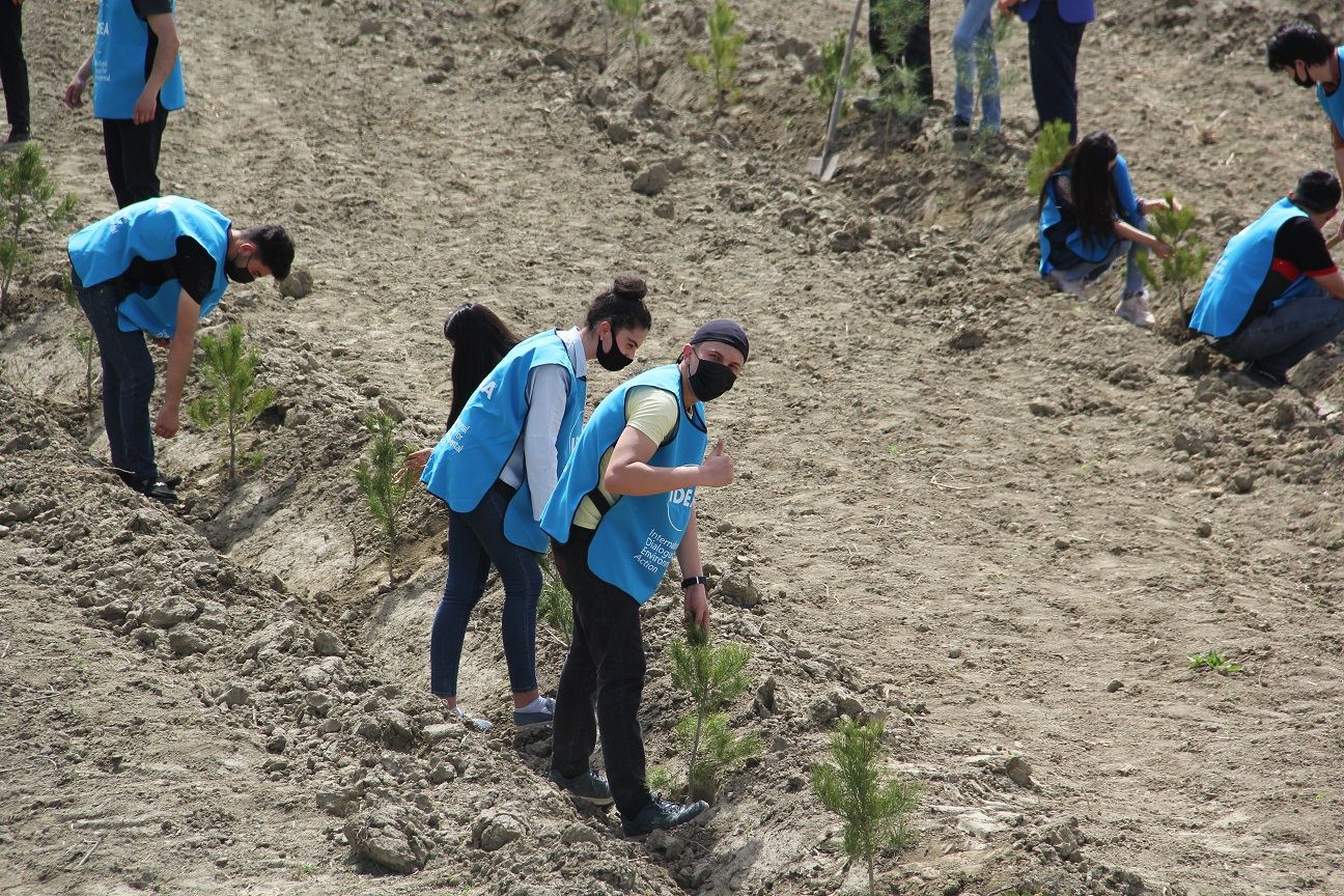 “Yaşıl Marafon” çərçivəsində bal verən ağaclar əkildi (FOTO) - Gallery Image