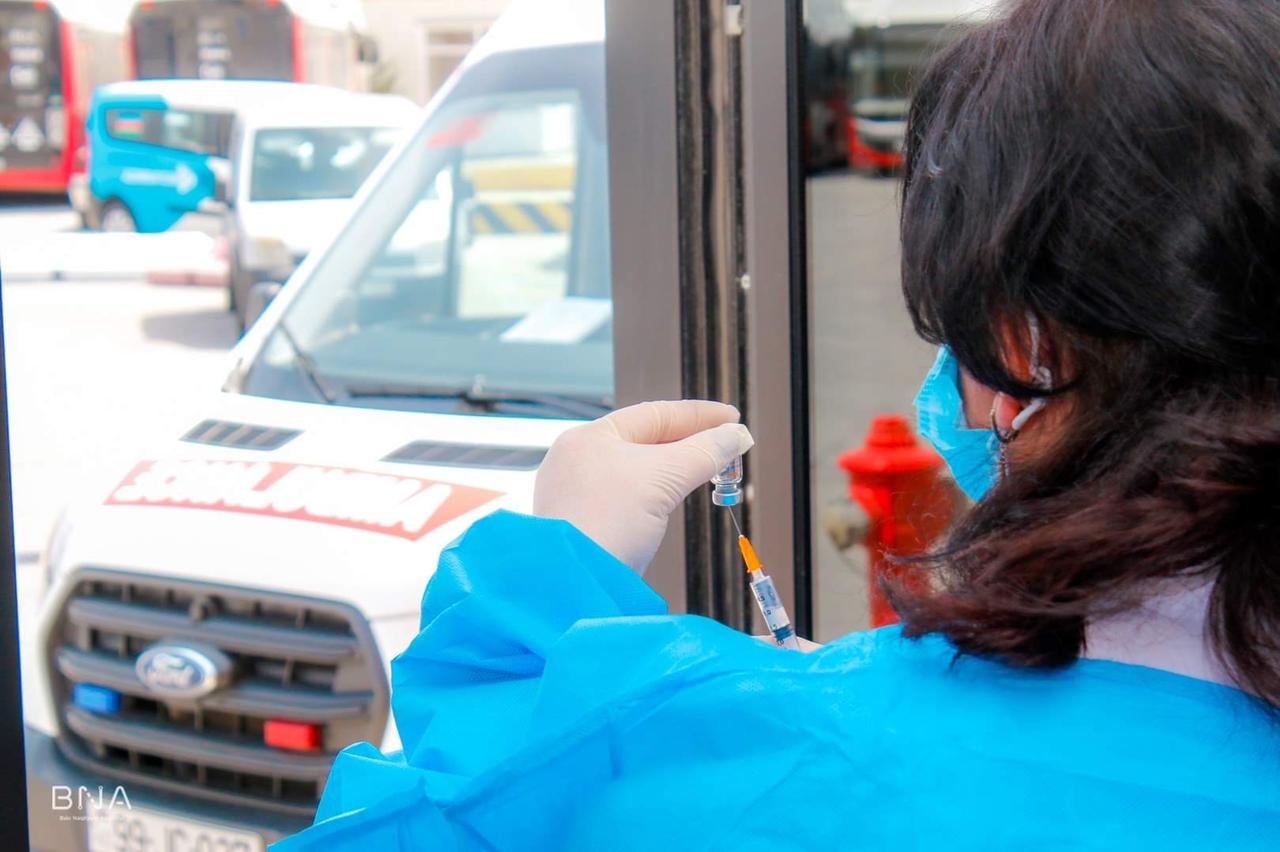 Avtobus sürücülərinə peyvənd vurulur (FOTO) - Gallery Image