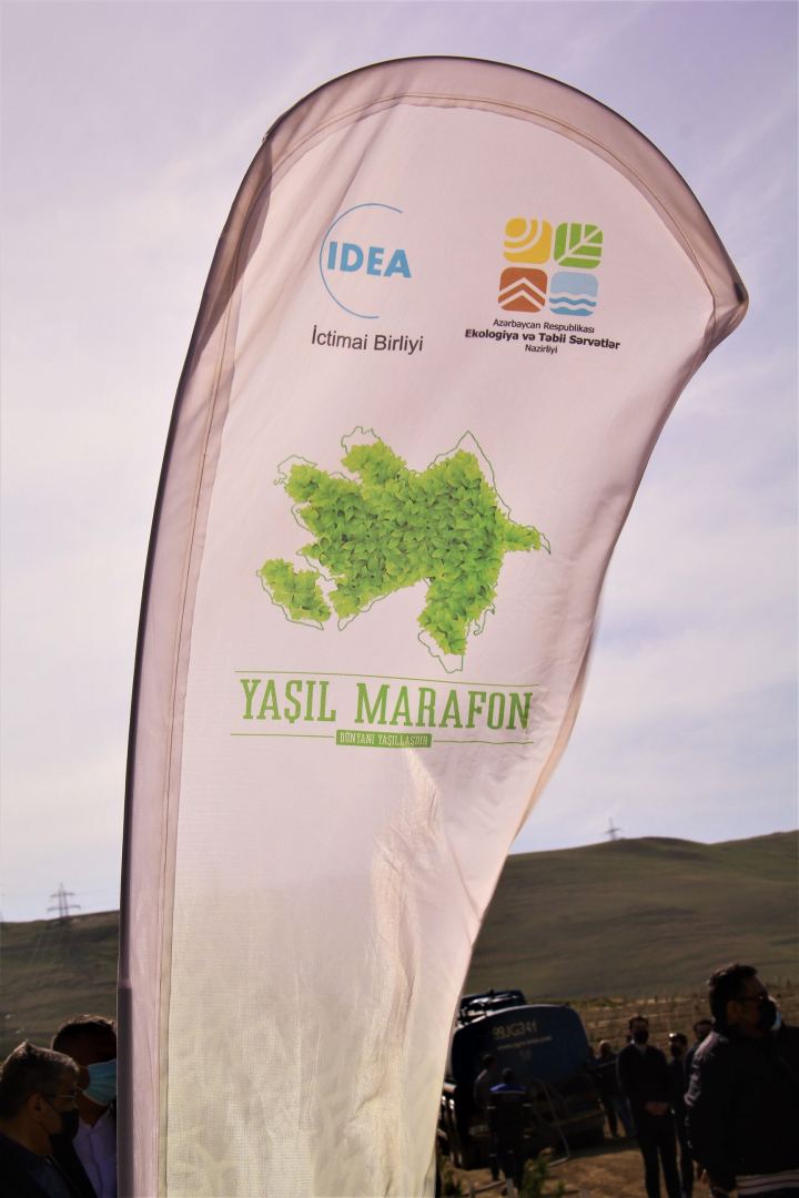 “Yaşıl Marafon” çərçivəsində Bakıda növbəti ağacəkmə aksiyası keçirilib (FOTO) - Gallery Image
