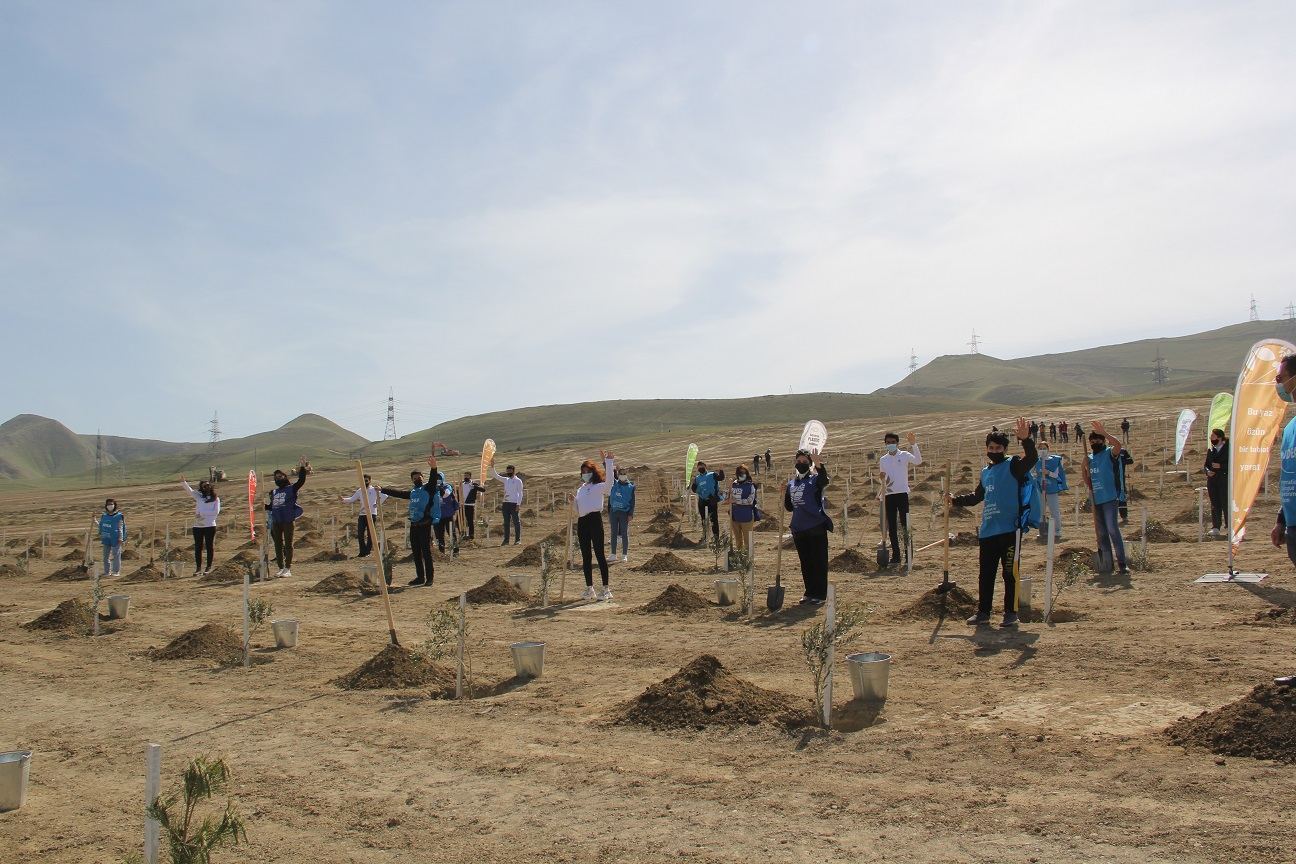 “Yaşıl Marafon” çərçivəsində Bakıda növbəti ağacəkmə aksiyası keçirilib (FOTO) - Gallery Image