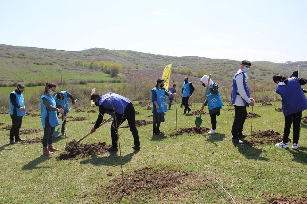 Bu il ölkə ərazisində 400 mindən artıq meşəcinsli ağac əkilib (FOTO) - Gallery Image