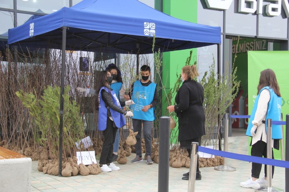 Bu il ölkə ərazisində 400 mindən artıq meşəcinsli ağac əkilib (FOTO) - Gallery Image