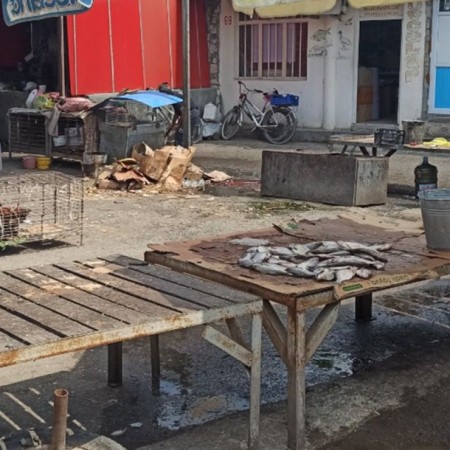 Yevlax bazarında nehrə yağı adı ilə bitki yağları satılır- FOTO Yevlax bazarında nehrə yağı adı ilə bitki yağları satılır- FOTO