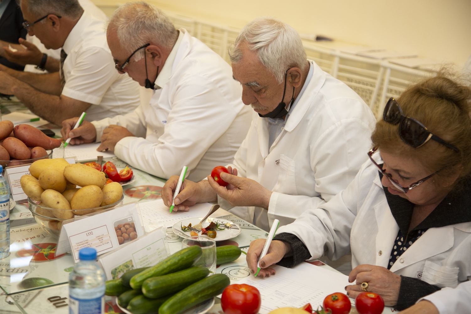 Azərbaycanda yeni kartof və tərəvəz sortları yetişdirilib (FOTO) - Gallery Image