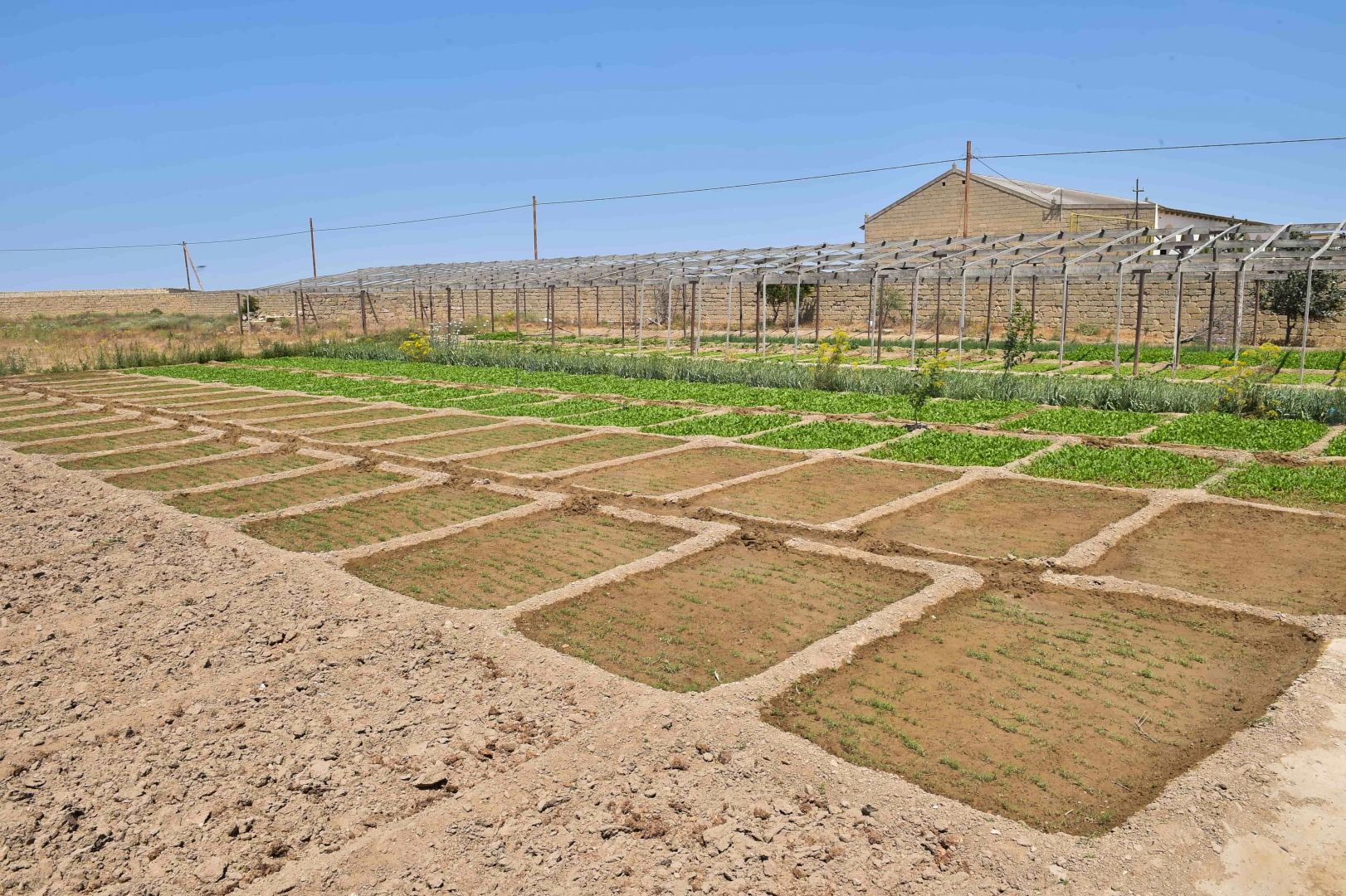 Xəzər rayonunda içməli sudan qanunsuz istifadə halları aşkarlanıb (FOTO) - Gallery Image