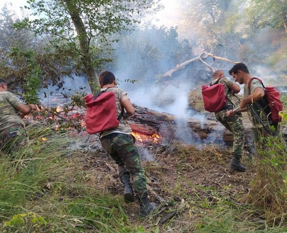 Cəlilabadda meşədə baş verən yanğın söndürülüb (FOTO) - Gallery Image