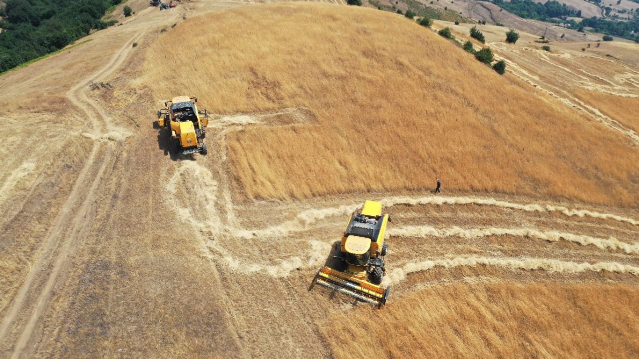 Dağ kəndlərində yeni nəsil kombaynlarla biçin aparılır (FOTO) - Gallery Image