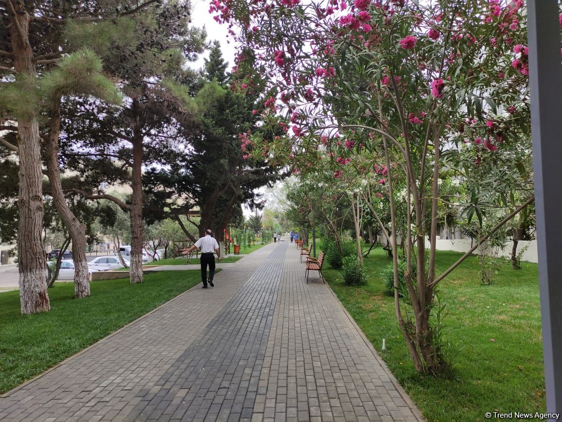 Polad Həşimovun adına yaradılan parkın açılışı olub (FOTO) - Gallery Image