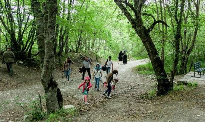 Altıağac Milli Parkında “açıq qapı” günü keçiriləcək (FOTO) - Gallery Image