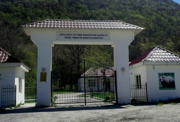 Altıağac Milli Parkında “açıq qapı” günü keçirilir- FOTOLAR