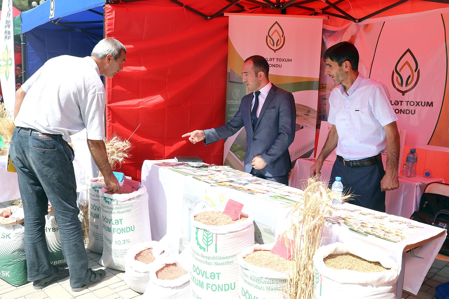 Respublika toxum sərgi-satış yarmarkasına start verilib (FOTO) - Gallery Image