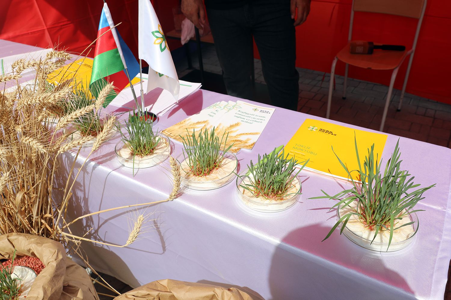 Respublika toxum sərgi-satış yarmarkasına start verilib (FOTO) - Gallery Image