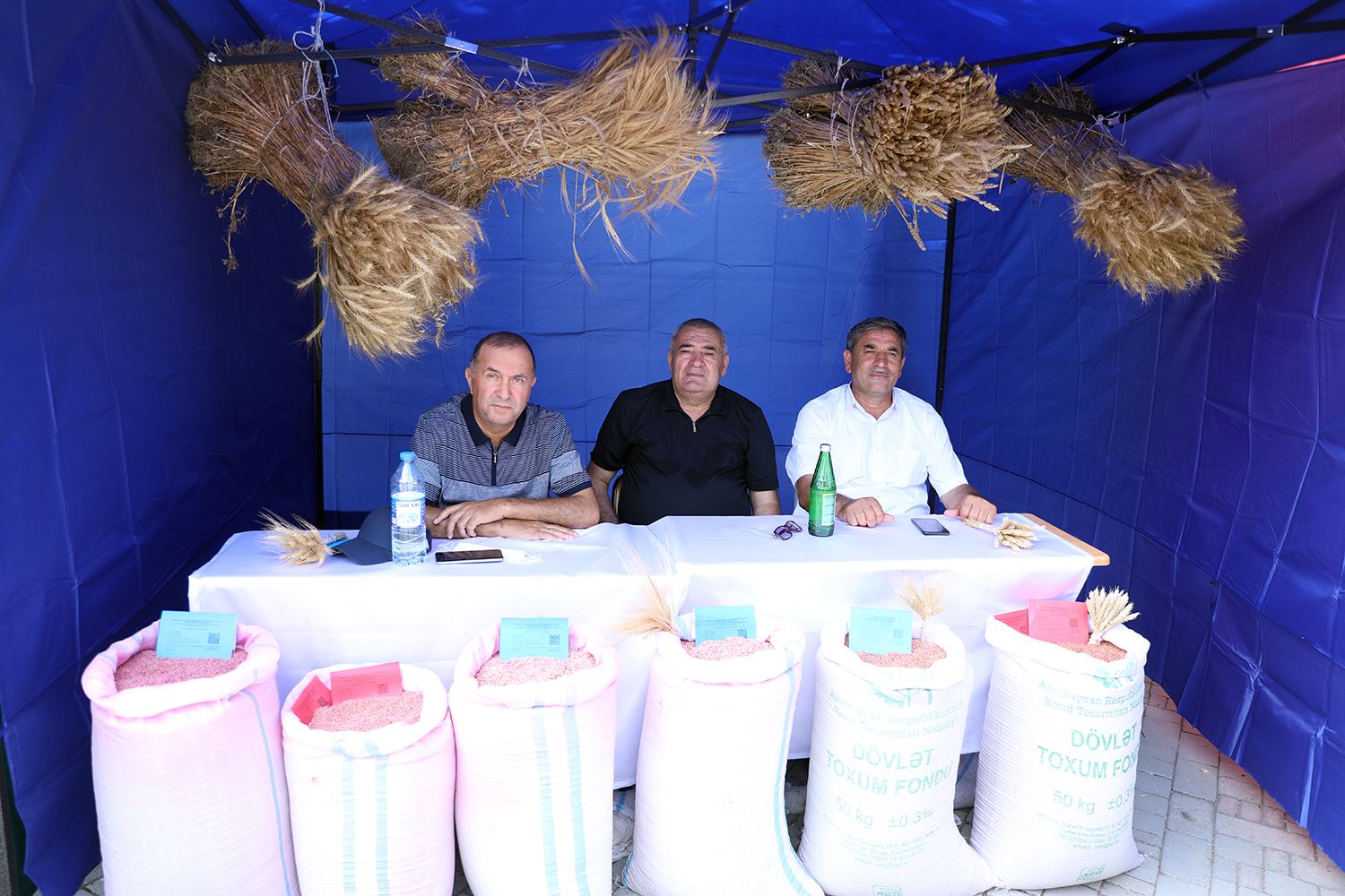 Respublika toxum sərgi-satış yarmarkasına start verilib (FOTO) - Gallery Image