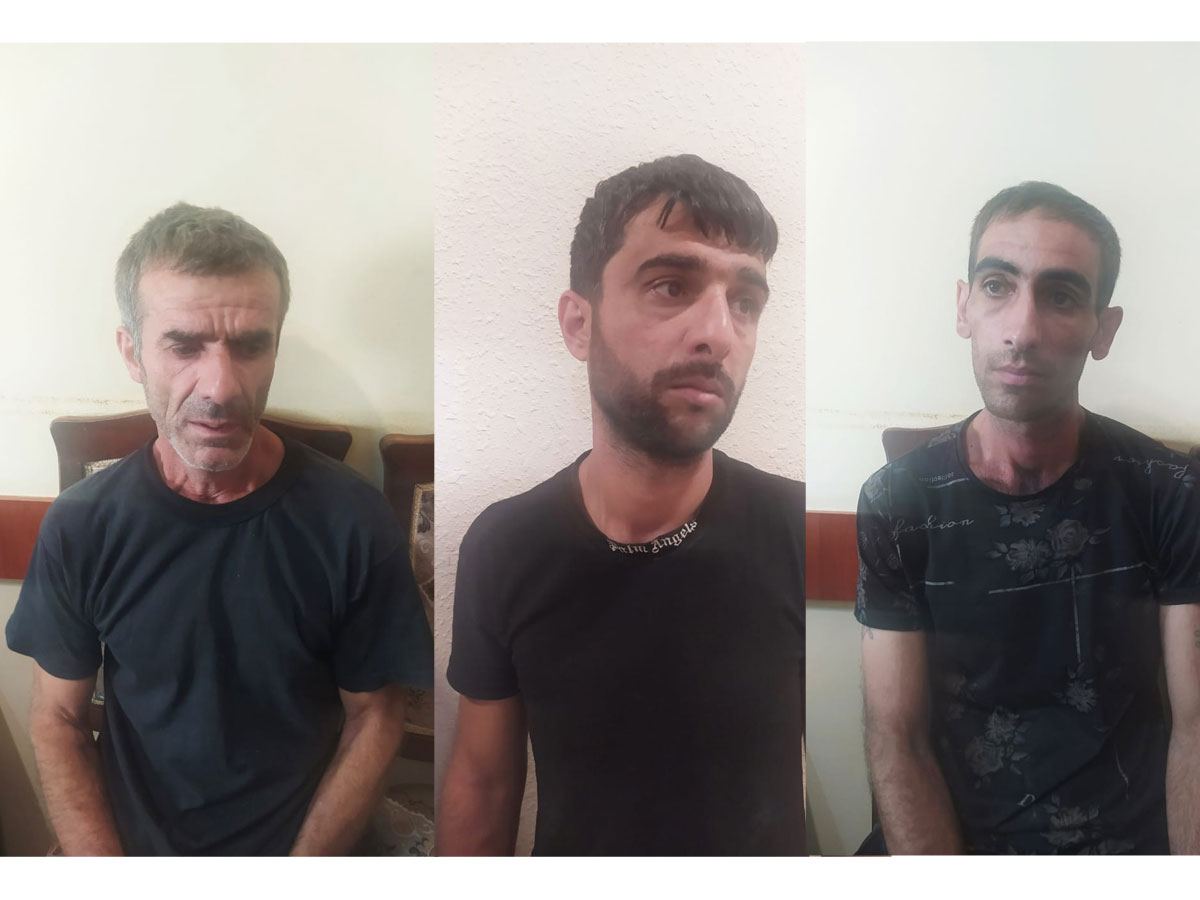Şəkidə oğurluq edən dayı-bacıoğlu saxlanıldı (FOTO) - Gallery Image