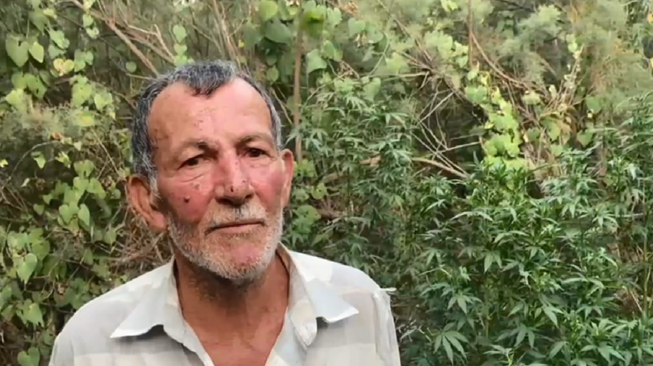 Kürün sahilində narkotik yetişdirən dəstə saxlanıldı (FOTO/VİDEO) - Gallery Image