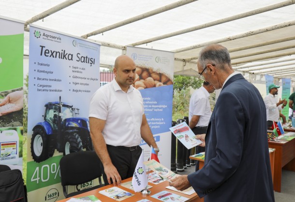 Zaqatalada fındıqçılıqla bağlı yarmarka keçirildi- FOTOLAR