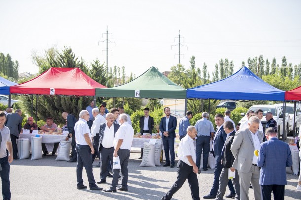 Toxum sərgi-satış yarmarkası öz işini uğurla yekunlaşdırdı- FOTOLAR