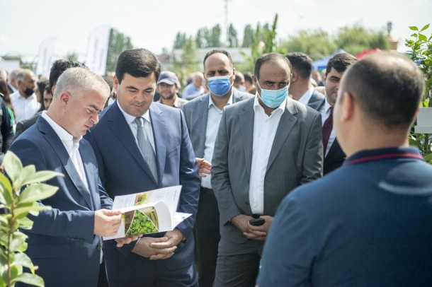 Toxum sərgi-satış yarmarkası öz işini uğurla yekunlaşdırdı- FOTOLAR