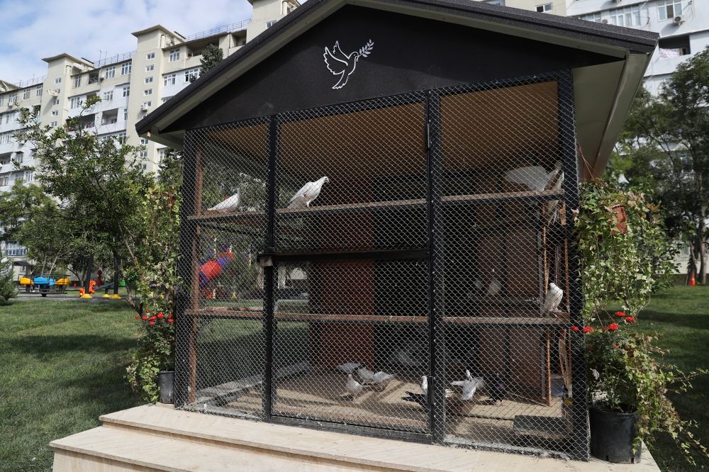 “Bizim həyət” layihəsi çərçivəsində abadlaşdırılan növbəti həyətin açılışı olub (FOTO) - Gallery Image