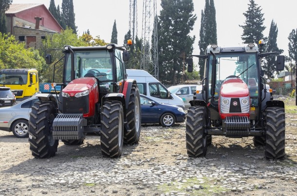 Cəlilabadda kartofçuluq yarmarkası keçirildi- FOTOLAR