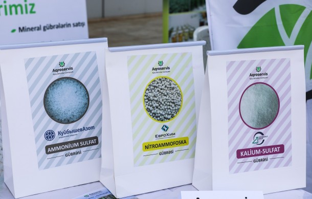 Cəlilabadda kartofçuluq yarmarkası keçirildi- FOTOLAR