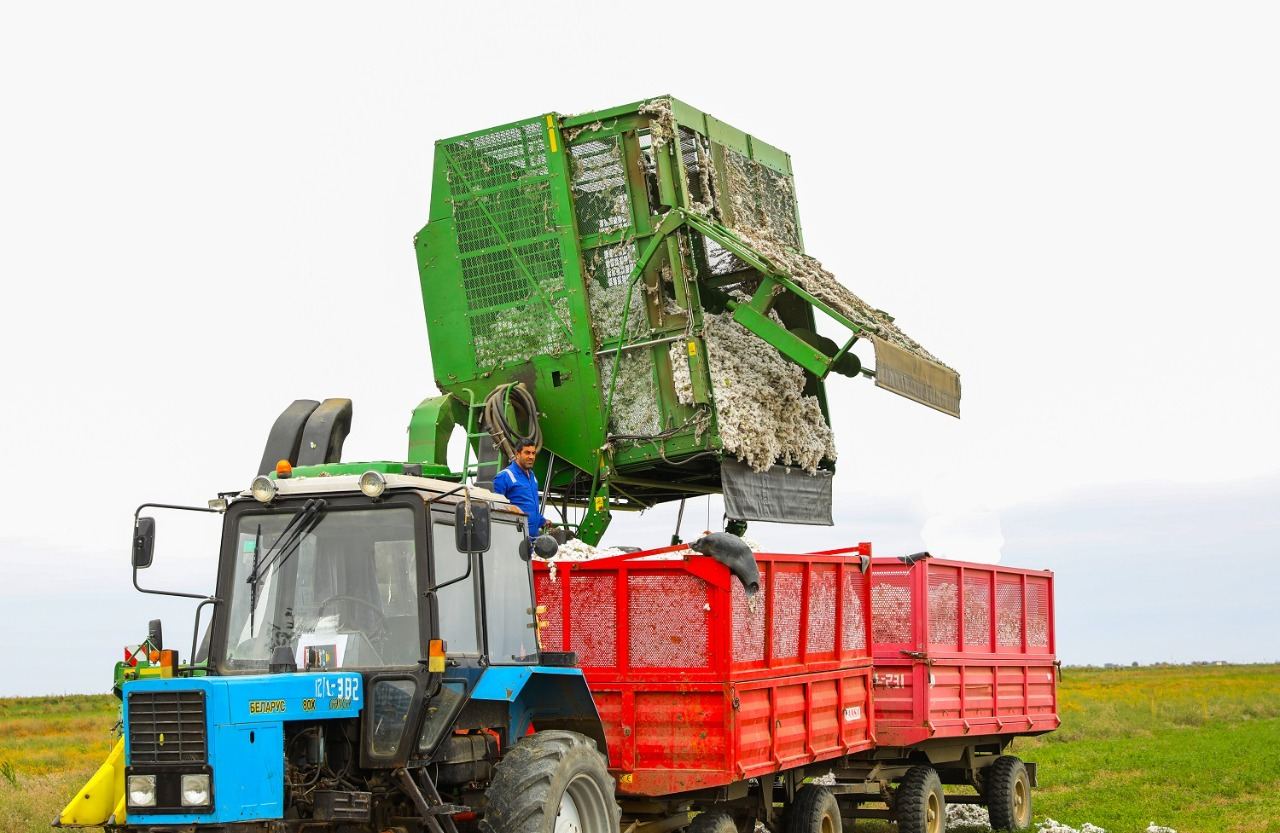Pambıq yığımına 430 kombayn cəlb ediləcək (FOTO) - Gallery Image