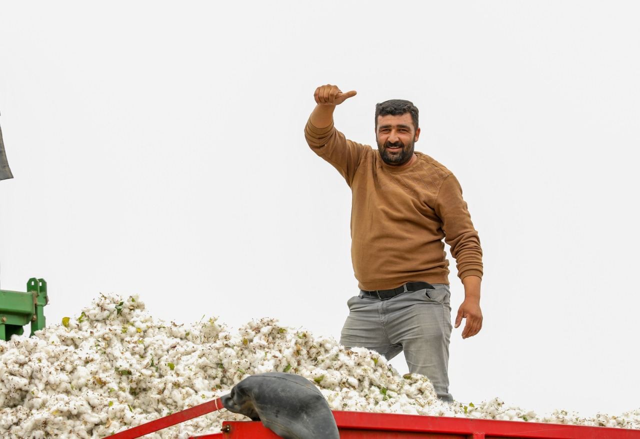 Pambıq yığımına 430 kombayn cəlb ediləcək (FOTO) - Gallery Image