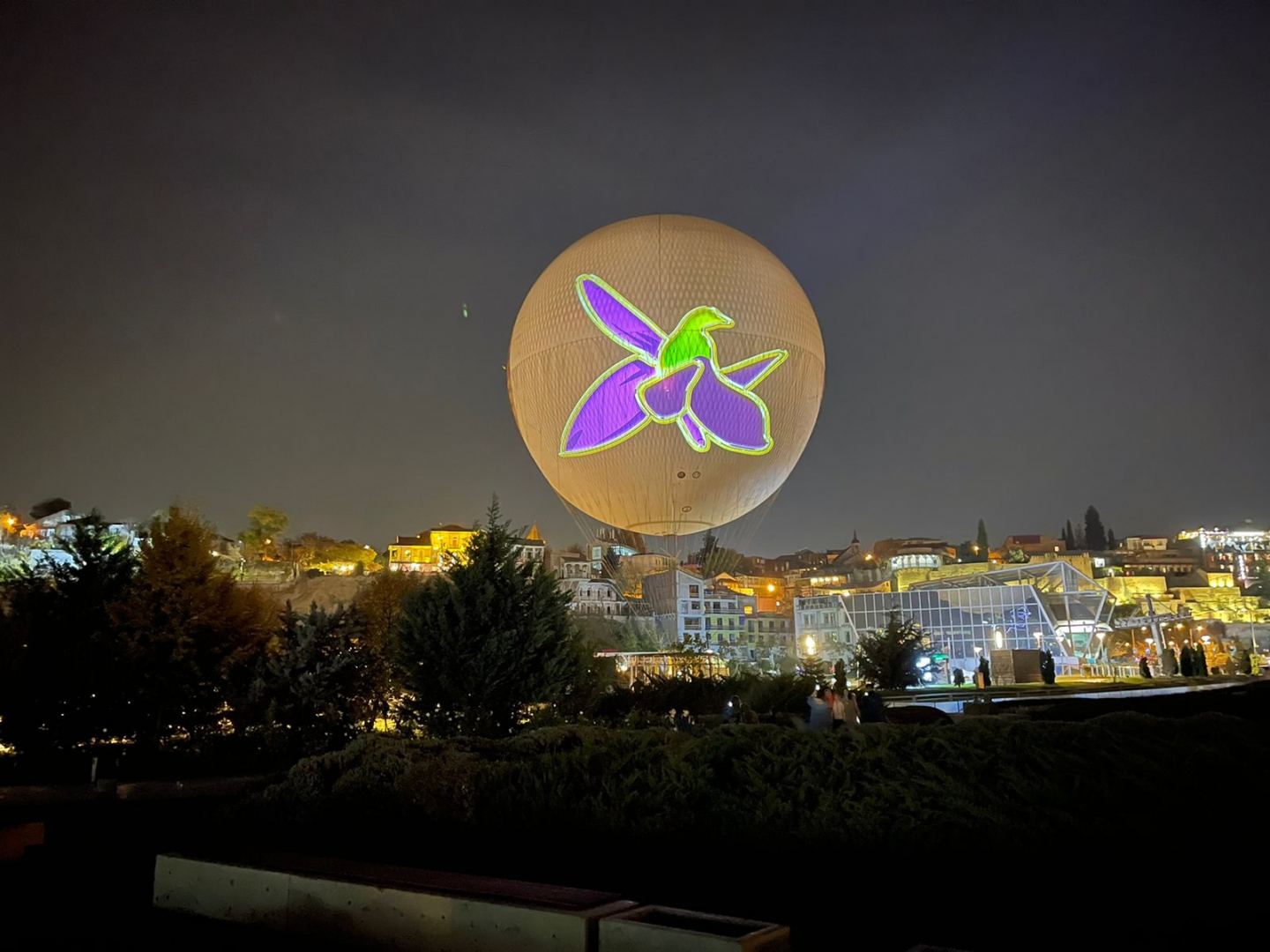 Tbilisidə üzərində Azərbaycan bayrağı təsvir olunmuş 600 ədəd şar havaya buraxılıb (FOTO) - Gallery Image