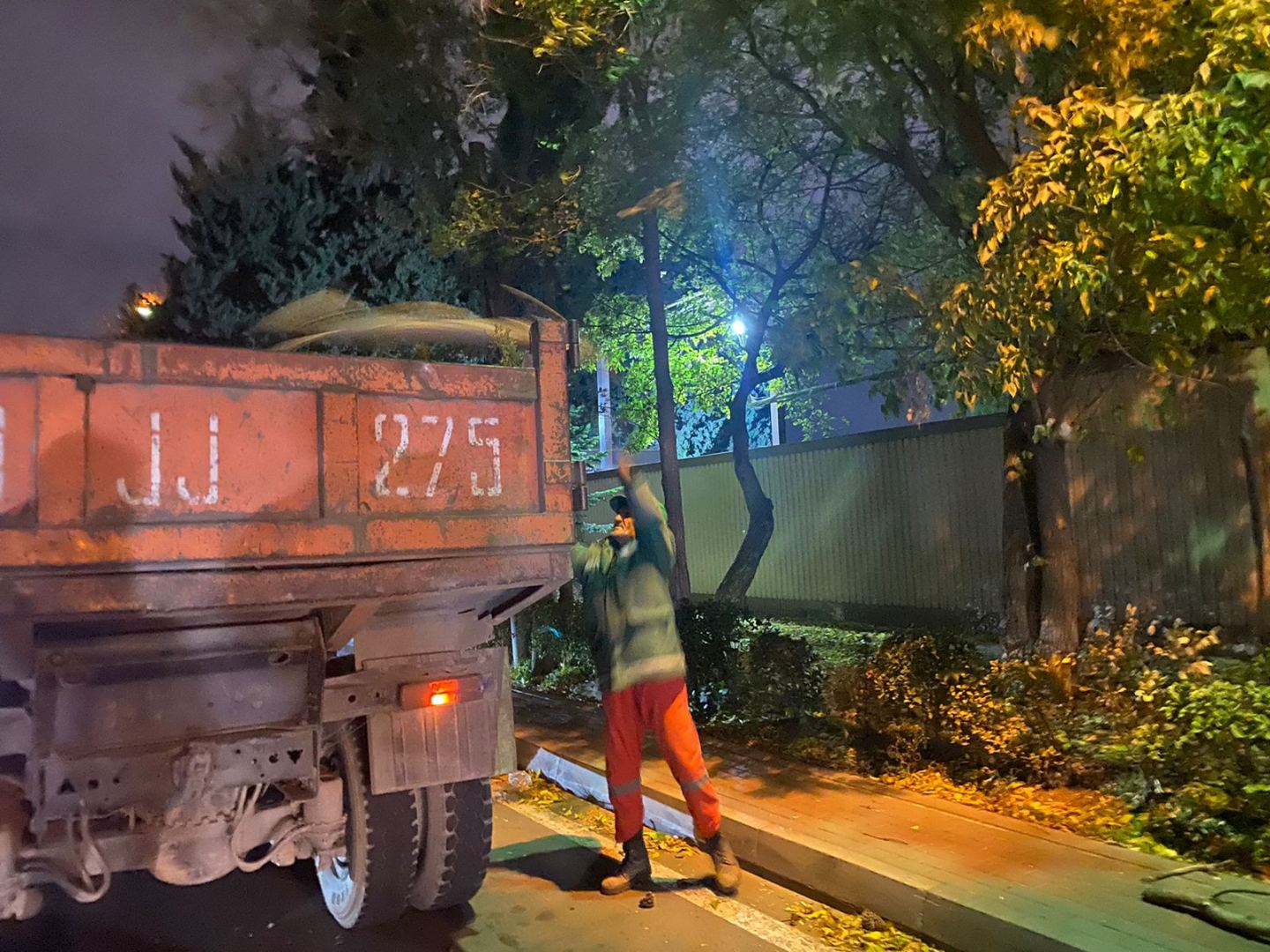 Bakıda güclü külək 100-ə yaxın ağacı aşırıb (FOTO) - Gallery Image