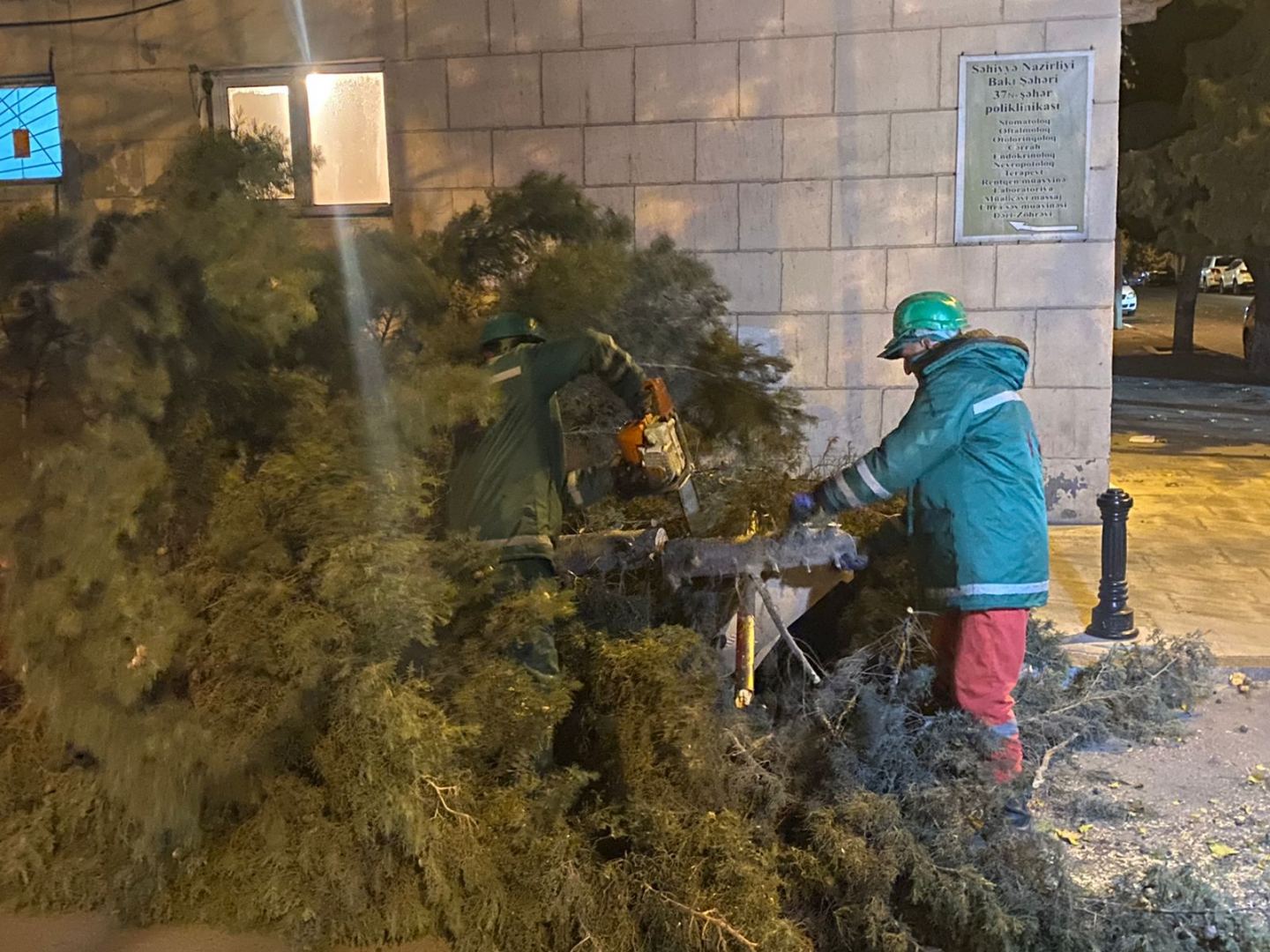 Bakıda güclü külək 100-ə yaxın ağacı aşırıb (FOTO) - Gallery Image