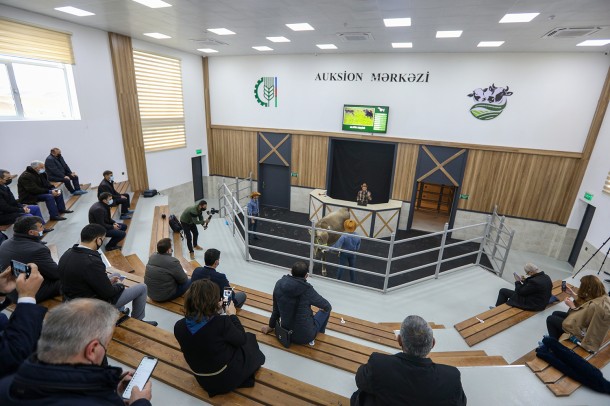 Qobustan Heyvandarlıq Nümayiş Kompleksi istifadəyə verildi- FOTOLAR