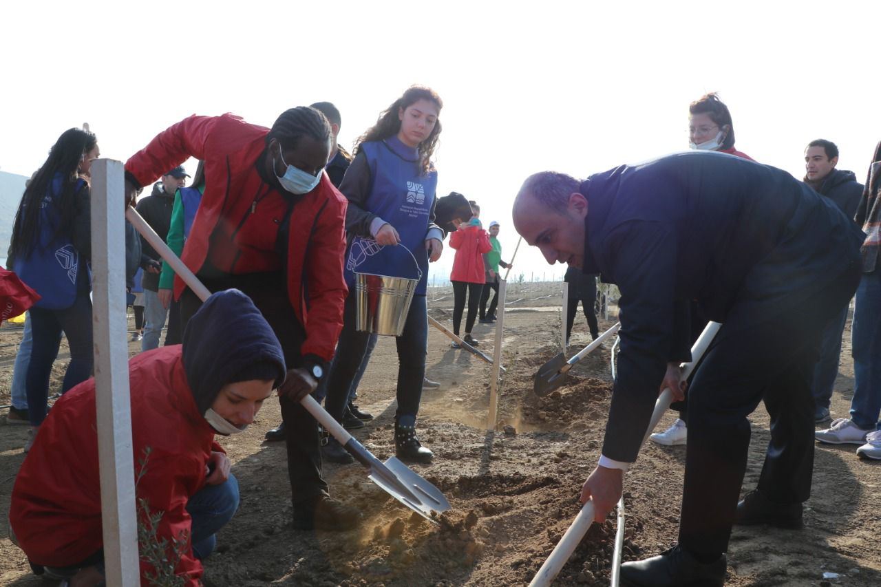 Xocasəndə 2000-dən çox ağac əkilib (FOTO) - Gallery Image