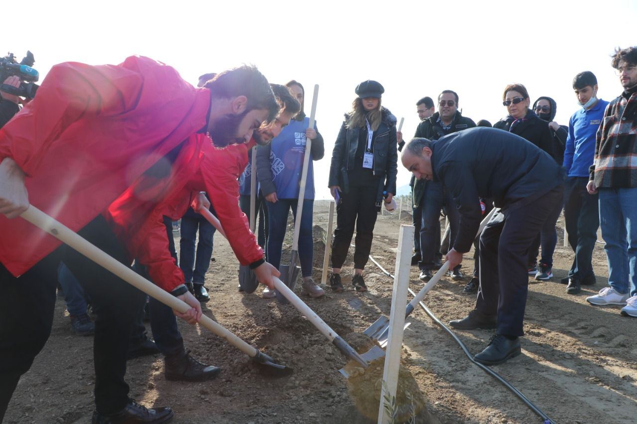Xocasəndə 2000-dən çox ağac əkilib (FOTO) - Gallery Image