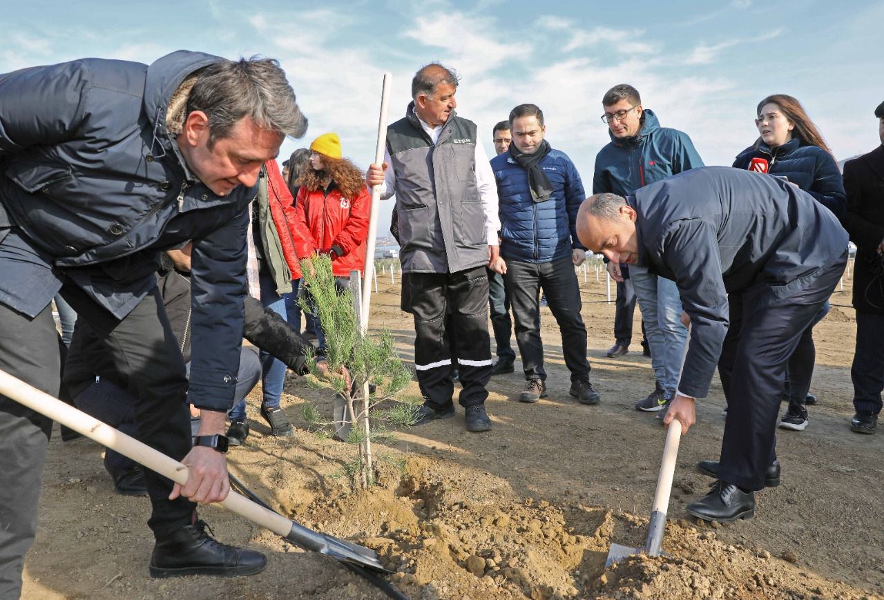 Xocasəndə 2000-dən çox ağac əkilib (FOTO) - Gallery Image