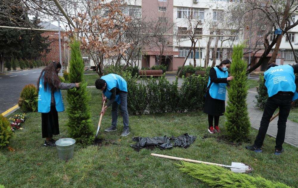 Bakının Nizami rayonunda növbəti abad həyət istifadəyə verilib (FOTO) - Gallery Image