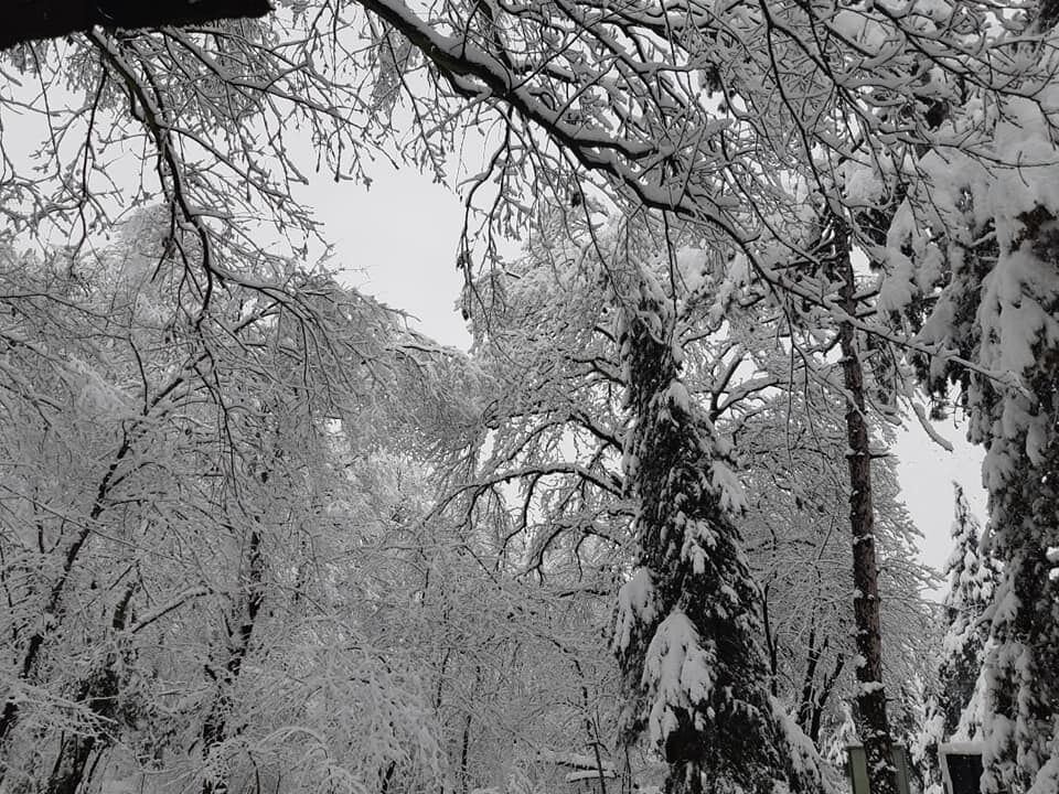 Göygöl, Şahdağ və Altıağac milli parklarına qar yağıb - Maraqlı görüntülər (FOTO/VİDEO) - Gallery Image