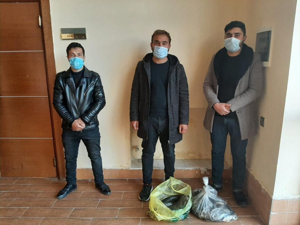 Elektrik cihazı ilə qanunsuz balıq ovlayan şəxslər saxlanılıblar (FOTO) - Gallery Image