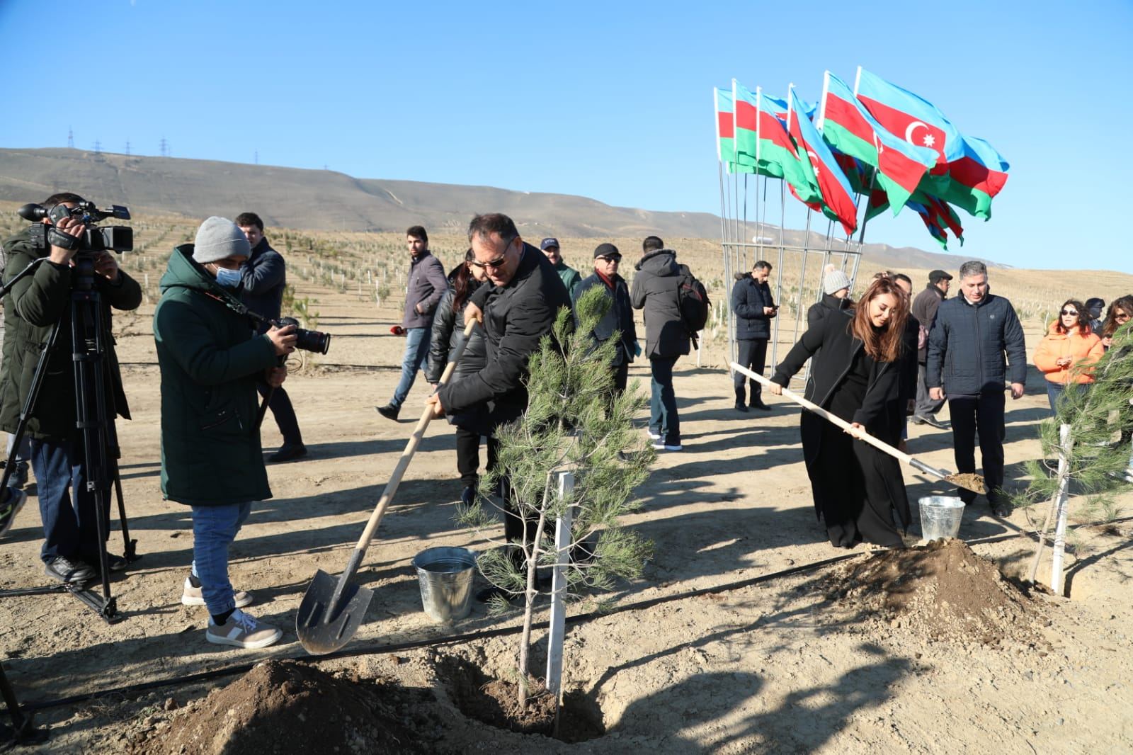 Bakıda Prezident İlham Əliyevin yubileyinə həsr olunan ağacəkmə aksiyası keçirilib (FOTO) - Gallery Image