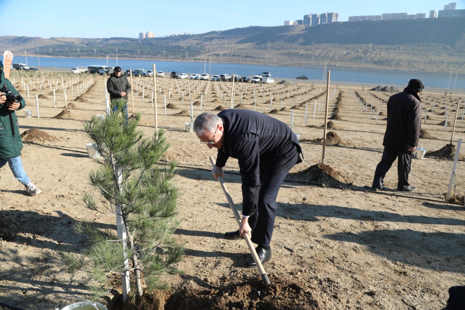 Bakıda Prezident İlham Əliyevin yubileyinə həsr olunan ağacəkmə aksiyası keçirilib (FOTO) - Gallery Image