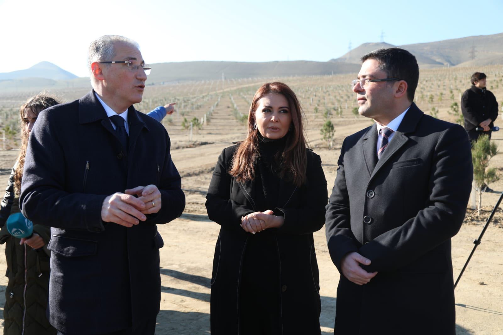 Bakıda Prezident İlham Əliyevin yubileyinə həsr olunan ağacəkmə aksiyası keçirilib (FOTO) - Gallery Image